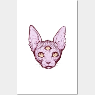 Sphynx. Posters and Art